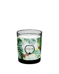 Maison Berger Jar Candle Lychee Paradise